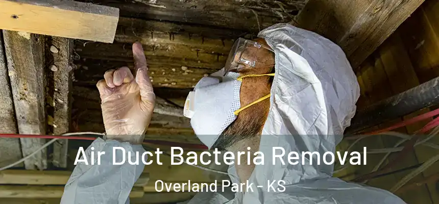 Air Duct Bacteria Removal Overland Park - KS
