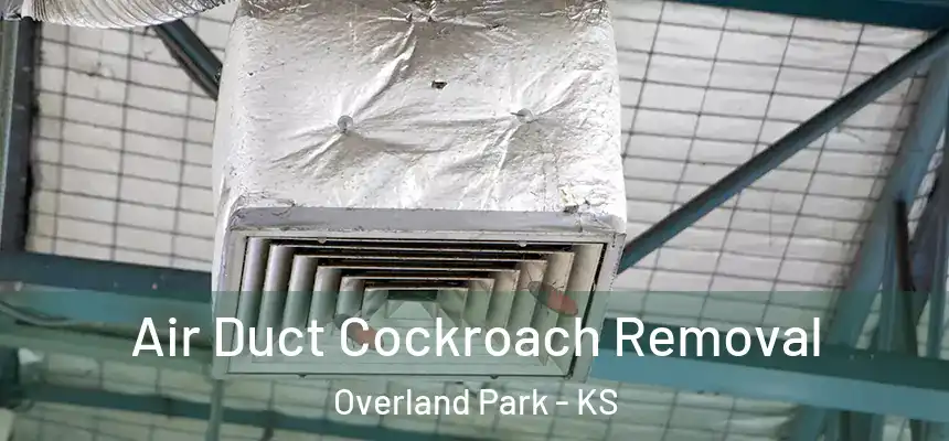 Air Duct Cockroach Removal Overland Park - KS