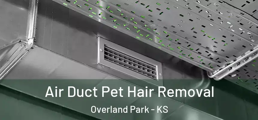  Air Duct Pet Hair Removal Overland Park - KS