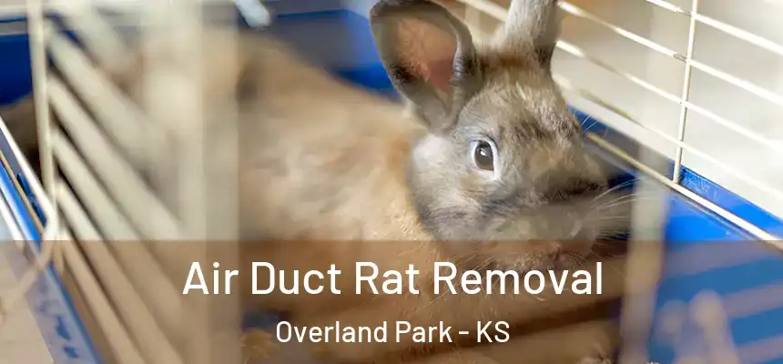 Air Duct Rat Removal Overland Park - KS