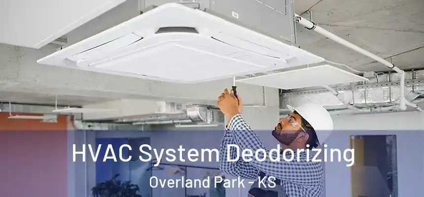 HVAC System Deodorizing Overland Park - KS