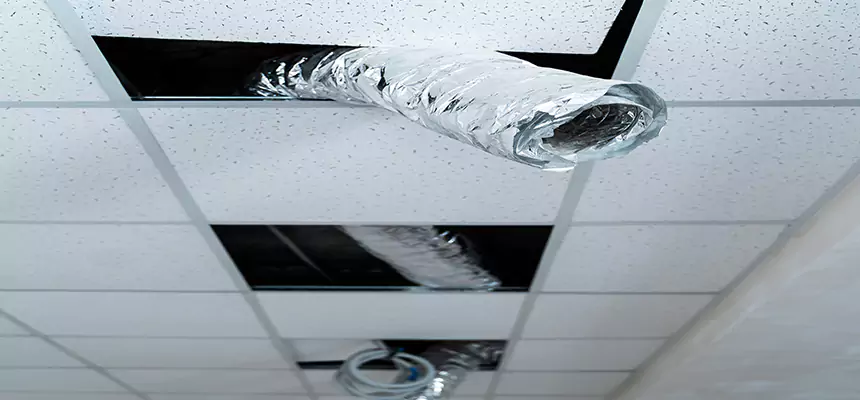 Our Air Duct Pet Hair Removal Services in Overland Park, KS