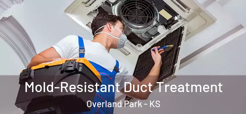 Mold-Resistant Duct Treatment Overland Park - KS