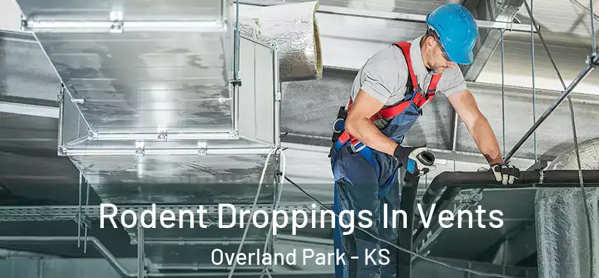 Rodent Droppings In Vents Overland Park - KS