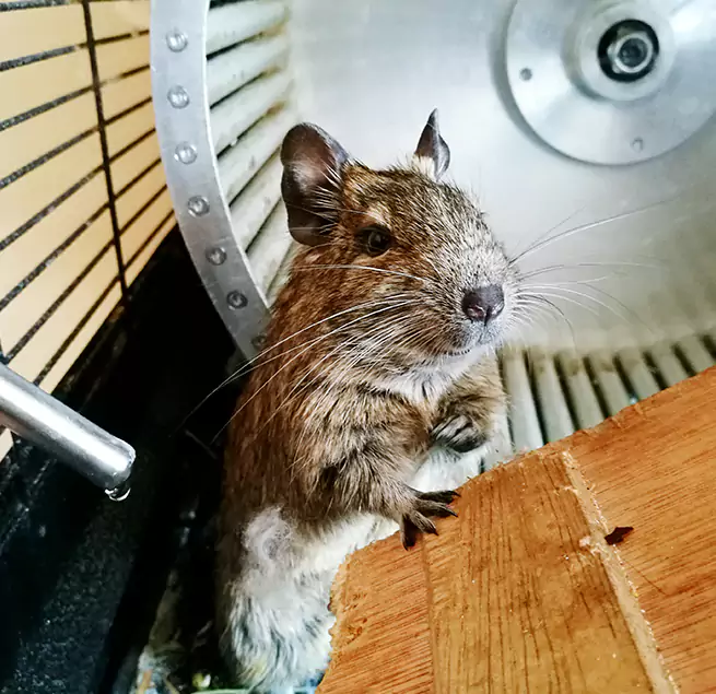 Why Homeowners & Businesses Trust Us Overland Park, KS?