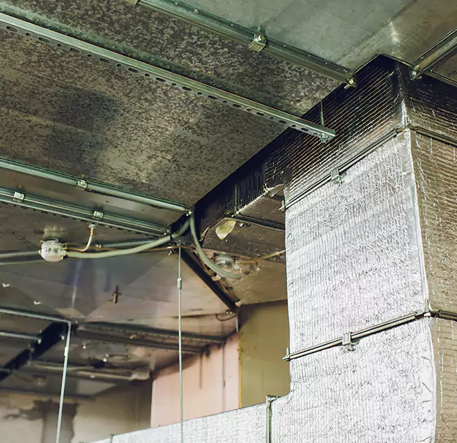 Why Homeowners & Businesses Trust Us in Overland Park, KS?